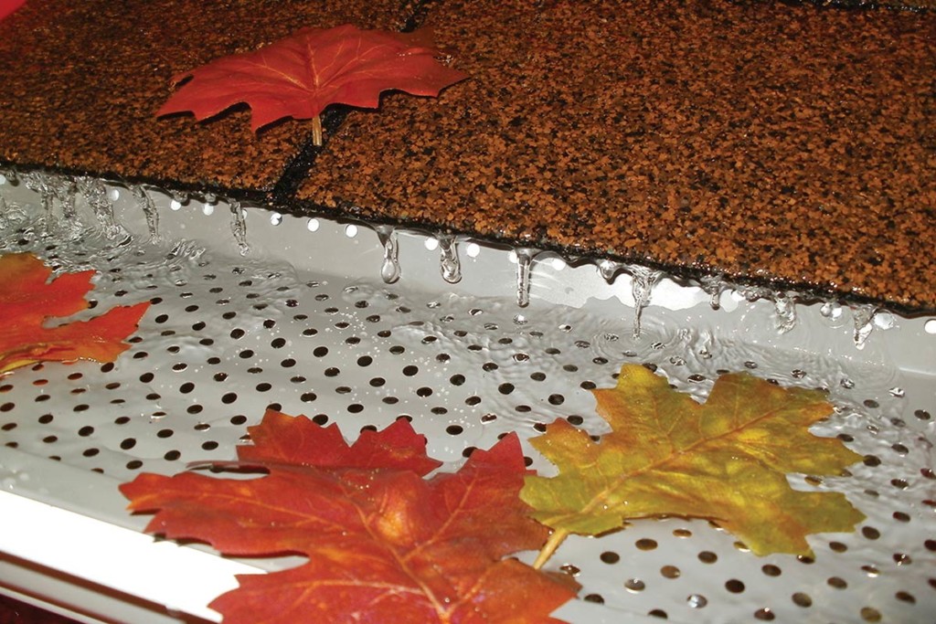 Metal gutter guard with maple leaves inside