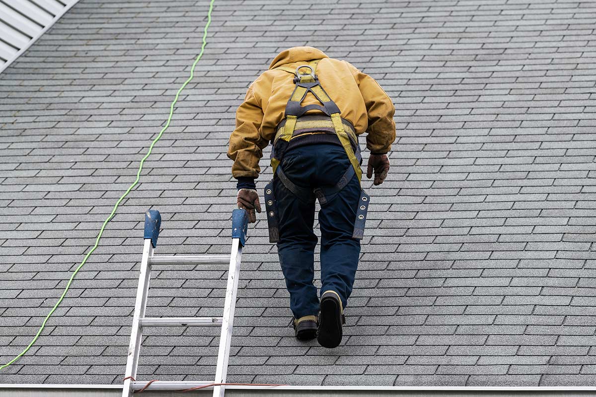 Residential Roof Replacement in Rhode Island | Roofer walking up roof with ladder next to him | Miceli Roofing